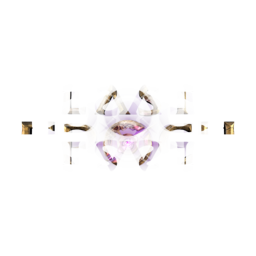 Last Epoch