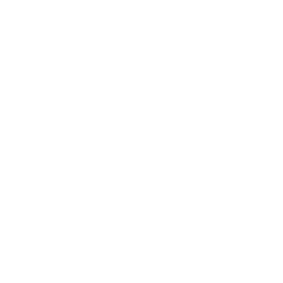 Undecember